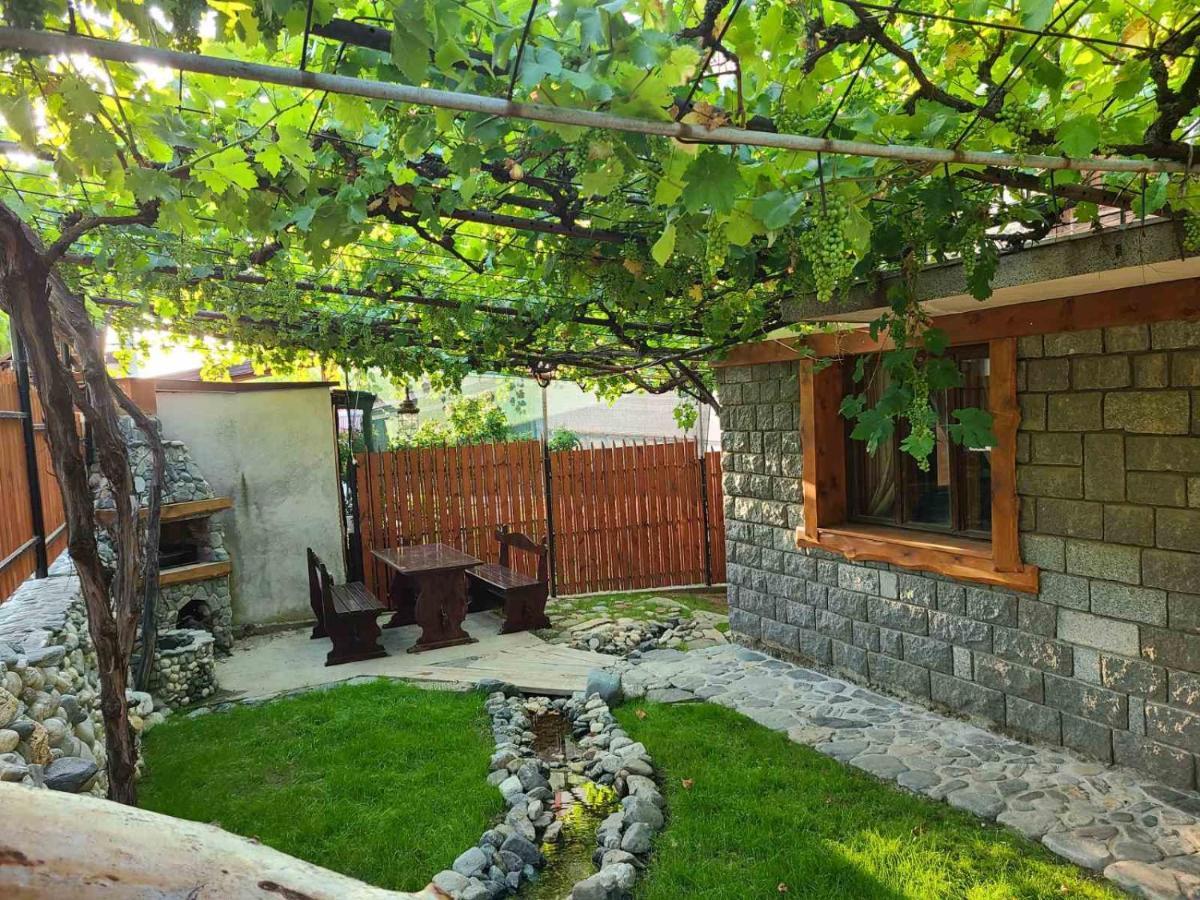 Вила 111 Sapareva Banya Ngoại thất bức ảnh